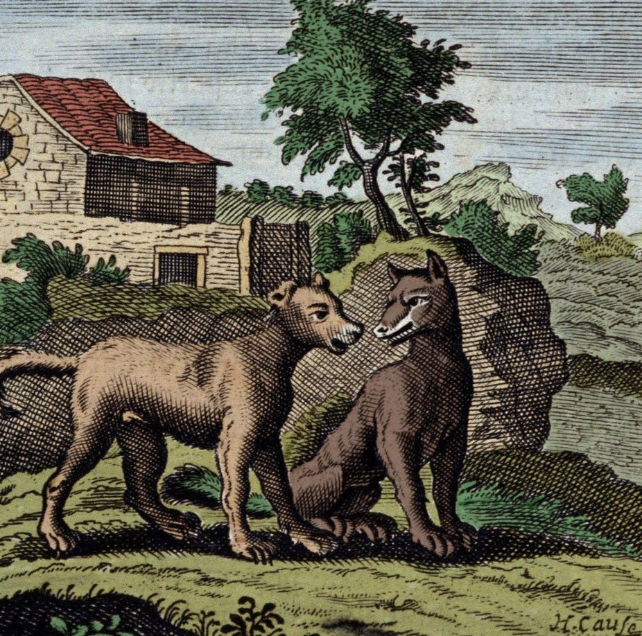 DOG DAYS