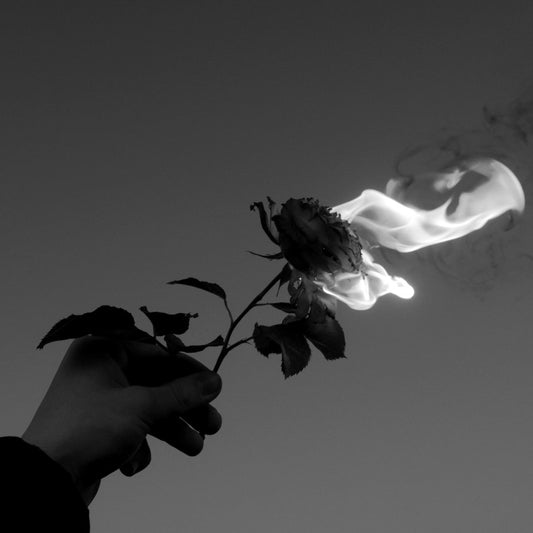 AND THE FIRE AND THE ROSE ARE ONE