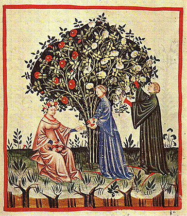 ORDER OF THE ROSE